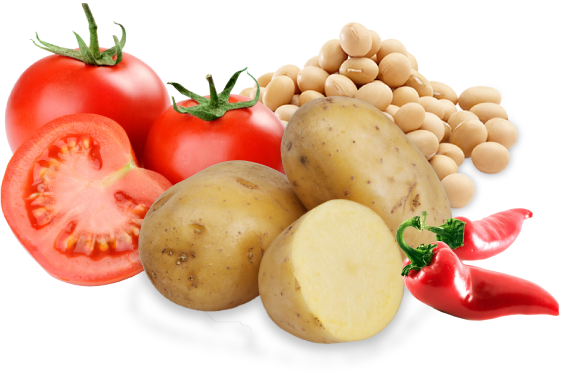 Crops