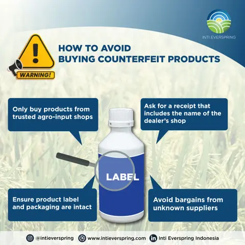 How to Avoid Buying Counterfeit Products