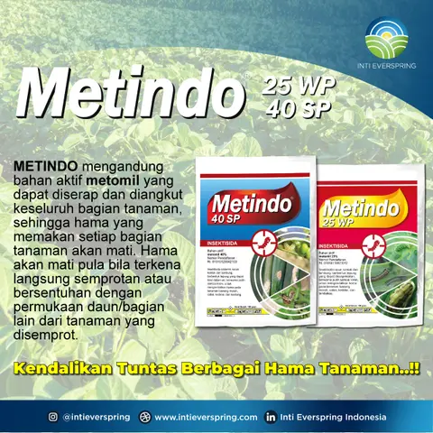 Metindo® 25 WP 40 SP